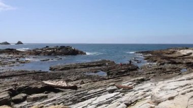 Pont Lobos Eyalet Parkı, California 'da. Plajlar, kayalıklar ve kum