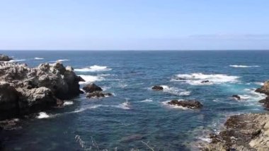 Pont Lobos Eyalet Parkı, California 'da. Plajlar, kayalıklar ve kum