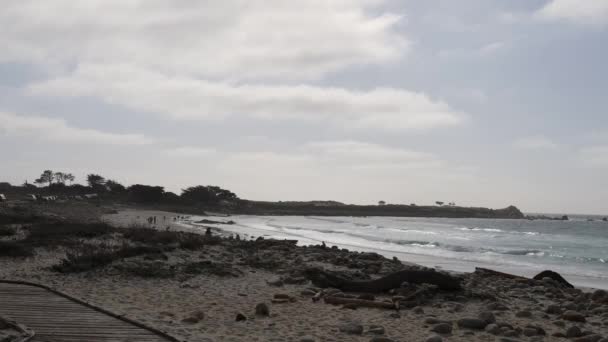 Acantilados Playas California Costera — Vídeo de stock