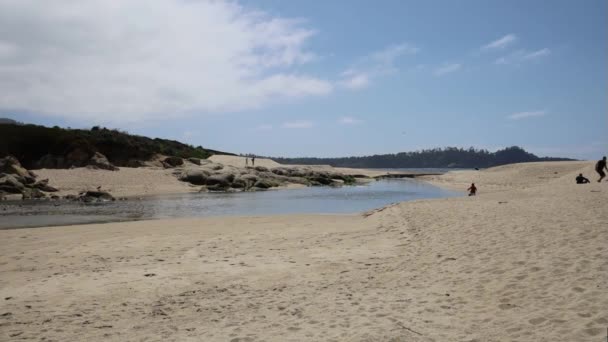 Playas Carmel California — Vídeo de stock