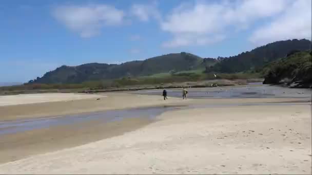 Playas Carmel California — Vídeo de stock