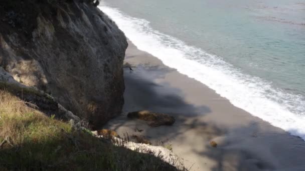 Parque Estatal Pont Lobos California Playas Acantilados Arena — Vídeo de stock