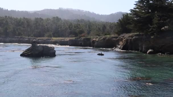 Pont Lobos State Park California Spiagge Scogliere Sabbia — Video Stock