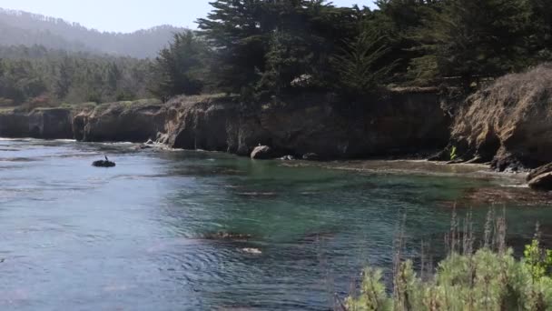 Pont Lobos State Park California Spiagge Scogliere Sabbia — Video Stock