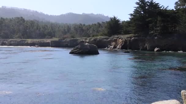 Parque Estatal Pont Lobos California Playas Acantilados Arena — Vídeos de Stock