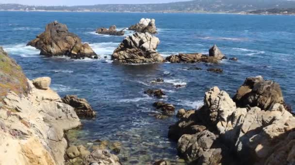 Pont Lobos State Park California Spiagge Scogliere Sabbia — Video Stock