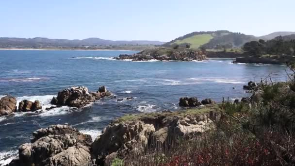 Parque Estatal Pont Lobos California Playas Acantilados Arena — Vídeo de stock