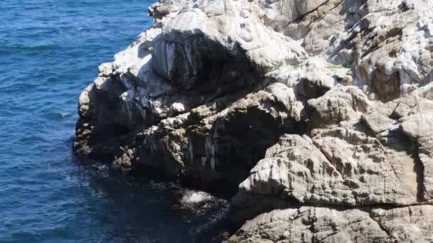 Parque Estatal Pont Lobos California Playas Acantilados Arena — Vídeo de stock