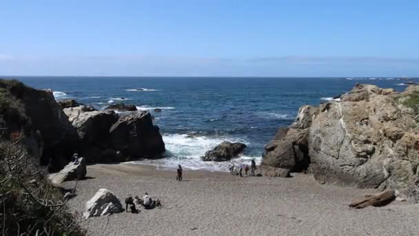 Pont Lobos Eyalet Parkı California Plajlar Kayalıklar Kum — Stok video