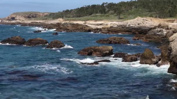 Pont Lobos Eyalet Parkı California Plajlar Kayalıklar Kum — Stok video