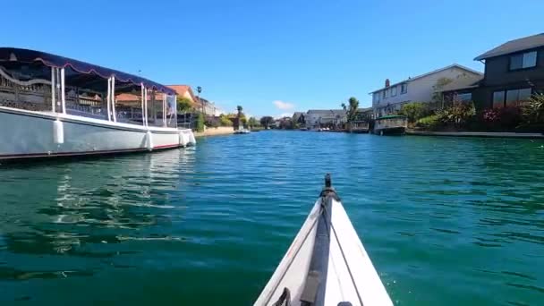 Foster City California 2021 Kayaking Foster City Lagoons California — стокове відео