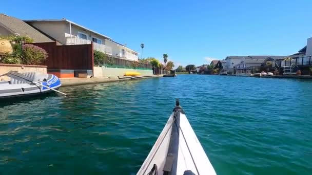 Foster City California 2021 Kayaking Foster City Lagoons California — стокове відео