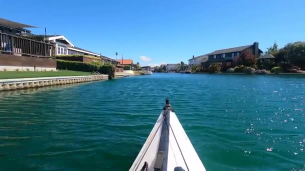 Foster City California 2021 Kayaking Foster City Lagoons California — стокове відео