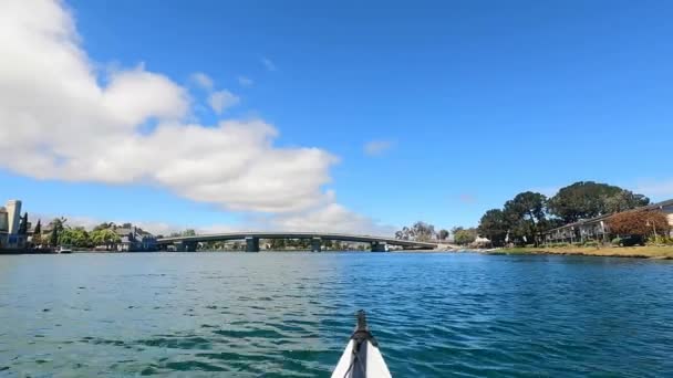 Foster City California 2021 Kayaking Foster City Lagoons California — Stock video