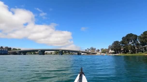Foster City California 2021 Kayaking Foster City Lagoons California — Stock video
