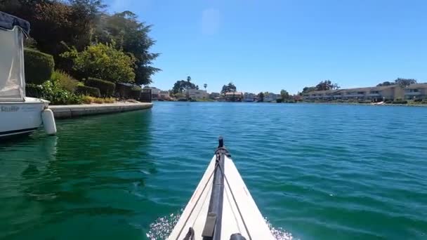 Foster City California 2021 Kayaking Foster City Lagoons California — стокове відео