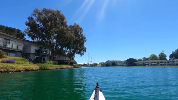 Foster City California 2021 Kayak Foster City Lagoons California — Vídeos de Stock