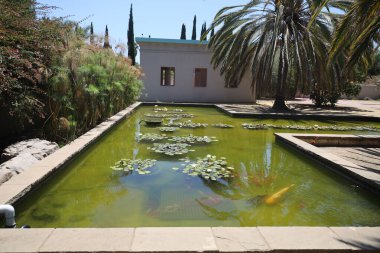 San Jose, California: 5-5-2021: San Jose California 'daki Mısır Müzesi