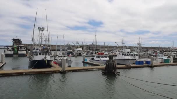 2021 San Francisco Kalifornien Schifffahrtsmuseum Von San Francisco — Stockvideo