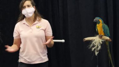 16-10-2021: San Carlos, California: Hiller Havacılık Müzesinde Kuş Gösterisi,