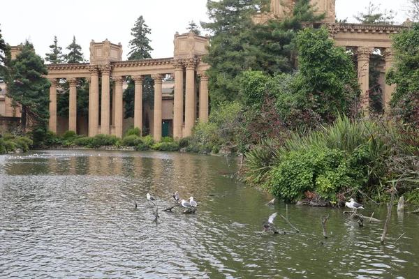 Palais Des Beaux Arts San Francisco Californie — Photo