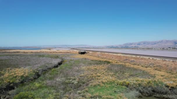 Drone Sobrevolando Pantanos Vías Tren Alviso California — Vídeos de Stock