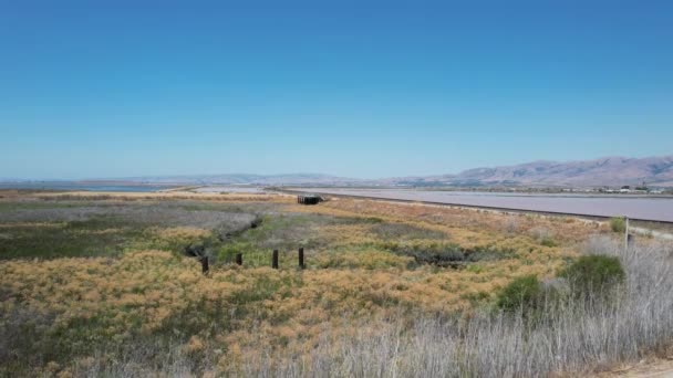 Dron Přelétající Přes Močály Vlakové Tratě Alviso California — Stock video