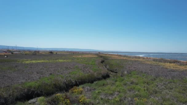 加州阿尔维索的无人驾驶飞机飞越沼泽地和火车轨道 — 图库视频影像