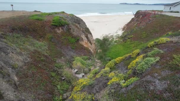 Falésias Praias Areia Califórnia — Vídeo de Stock