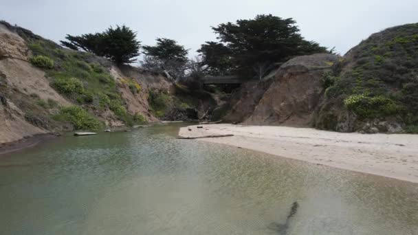 Acantilados Playas Arena California — Vídeos de Stock