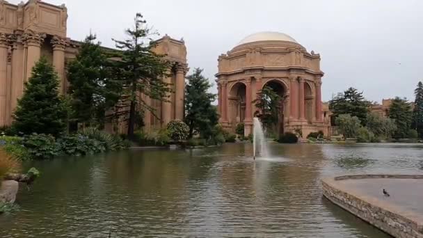 Περπατώντας Στο Παλάτι Των Καλών Τεχνών Σαν Φρανσίσκο Καλιφόρνια — Αρχείο Βίντεο