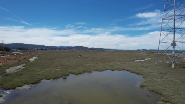 Isla Blair California — Vídeo de stock