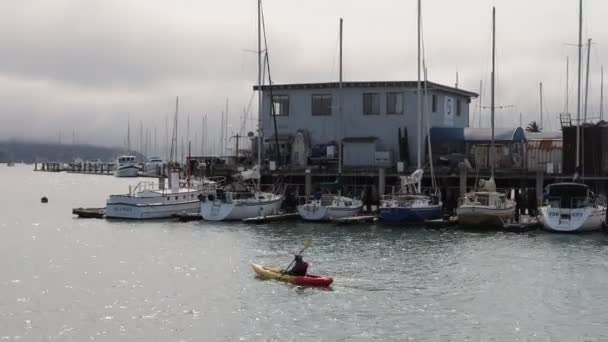 2021 Sausalito California Navega Sausalito Tiburón Isla Ángel Isla Alcatraz — Vídeo de stock