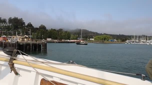 2021 Sausalito California Sail Sausalito Tiburon Angel Island Alcatraz Island — Stock Video
