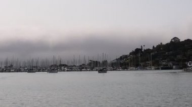 8-15-2021: Sausalito, California: Sausalito 'dan Tiburon' a yelken, Melek Adası, Alcatraz Adası, Golden Gate Köprüsü ve Körfez Köprüsü. Teknede Mathew Turner