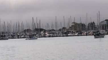8-15-2021: Sausalito, California: Sausalito 'dan Tiburon' a yelken, Melek Adası, Alcatraz Adası, Golden Gate Köprüsü ve Körfez Köprüsü. Teknede Mathew Turner