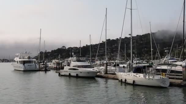 2021 Sausalito Kalifornia Popłyń Sausalito Tiburon Angel Island Alcatraz Island — Wideo stockowe