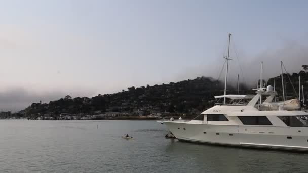 2021 Sausalito California Sail Sausalito Tiburon Angel Island Alcatraz Island — стокове відео
