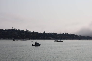 8 / 15 / 2021: Sausalito California: Sausalito 'dan Mathew Turner teknesiyle denize açılmak. Melek Adası 'nda, Alcatraz' da, Tiburon 'da, Golden Gate Köprüsü' nde ve Bay Bridge 'de dolaştım.