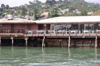 8-15-2021: Sausalito, California: Sausalito 'dan Tiburon' a yelken, Melek Adası, Alcatraz Adası, Golden Gate Köprüsü ve Körfez Köprüsü. Teknede Mathew Turner 