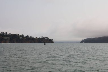 8-15-2021: Sausalito, California: Sausalito 'dan Tiburon' a yelken, Melek Adası, Alcatraz Adası, Golden Gate Köprüsü ve Körfez Köprüsü. Teknede Mathew Turner 