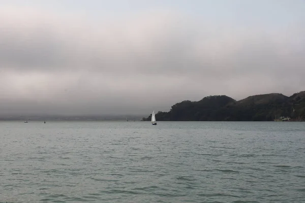 2021 Sausalito California Sausalito Dan Tiburon Yelken Melek Adası Alcatraz — Stok fotoğraf