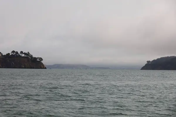 2021 Sausalito California Sausalito Dan Tiburon Yelken Melek Adası Alcatraz — Stok fotoğraf