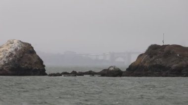 8-15-2021: Sausalito, California: Sausalito 'dan Tiburon' a yelken, Melek Adası, Alcatraz Adası, Golden Gate Köprüsü ve Körfez Köprüsü. Teknede Mathew Turner
