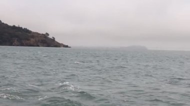 8-15-2021: Sausalito, California: Sausalito 'dan Tiburon' a yelken, Melek Adası, Alcatraz Adası, Golden Gate Köprüsü ve Körfez Köprüsü. Teknede Mathew Turner