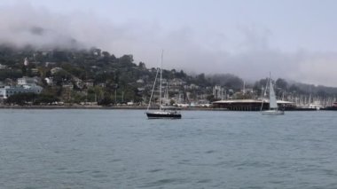 8-15-2021: Sausalito, California: Sausalito 'dan Tiburon' a yelken, Melek Adası, Alcatraz Adası, Golden Gate Köprüsü ve Körfez Köprüsü. Teknede Mathew Turner