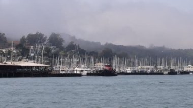 8-15-2021: Sausalito, California: Sausalito 'dan Tiburon' a yelken, Melek Adası, Alcatraz Adası, Golden Gate Köprüsü ve Körfez Köprüsü. Teknede Mathew Turner