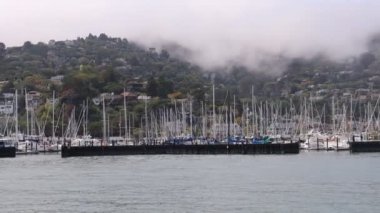 8-15-2021: Sausalito, California: Sausalito 'dan Tiburon' a yelken, Melek Adası, Alcatraz Adası, Golden Gate Köprüsü ve Körfez Köprüsü. Teknede Mathew Turner