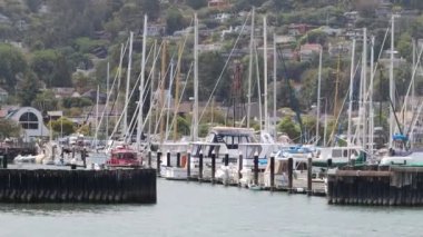 8-15-2021: Sausalito, California: Sausalito 'dan Tiburon' a yelken, Melek Adası, Alcatraz Adası, Golden Gate Köprüsü ve Körfez Köprüsü. Teknede Mathew Turner
