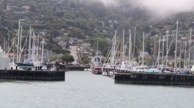8-15-2021: Sausalito, California: Sausalito 'dan Tiburon' a yelken, Melek Adası, Alcatraz Adası, Golden Gate Köprüsü ve Körfez Köprüsü. Teknede Mathew Turner